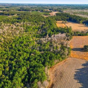Photo #4 of TBD Black Creek Rd., Nichols, SC 15.0 acres