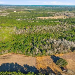 Photo #3 of TBD Black Creek Rd., Nichols, SC 15.0 acres