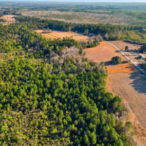 Photo #5 of TBD Black Creek Rd., Nichols, SC 15.0 acres