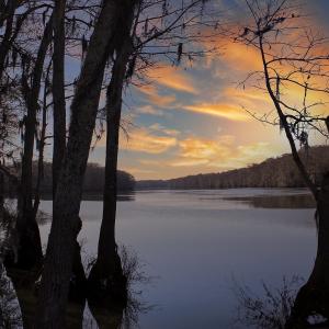 Photo #19 of 1950 Wachesaw Rd., Murrells Inlet, SC 0.0 acres