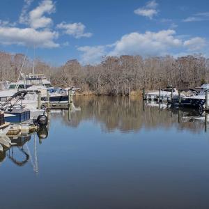 Photo #4 of 1950 Wachesaw Rd., Murrells Inlet, SC 0.0 acres