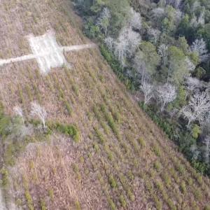 Photo #3 of Lot 7 Amos Rd, Georgetown, SC 5.4 acres