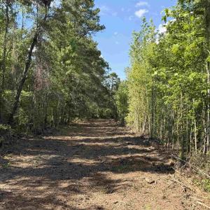 Photo #16 of 8862 Ware Dr., Nichols, SC 23.2 acres