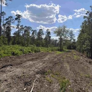 Photo #7 of 8862 Ware Dr., Nichols, SC 23.2 acres