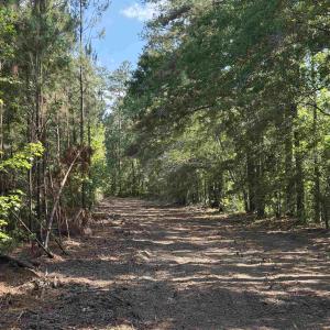 Photo #20 of 8862 Ware Dr., Nichols, SC 23.2 acres