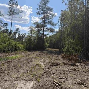 Photo #11 of 8862 Ware Dr., Nichols, SC 23.2 acres