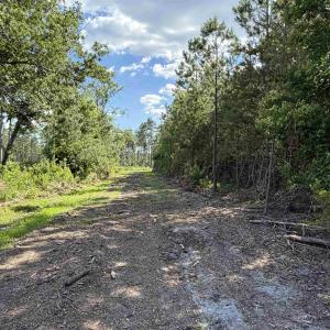 Photo #2 of 8862 Ware Dr., Nichols, SC 23.2 acres