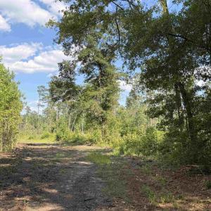 Photo #18 of 8862 Ware Dr., Nichols, SC 23.2 acres