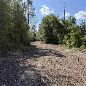 Photo #6 of 8862 Ware Dr., Nichols, SC 23.2 acres