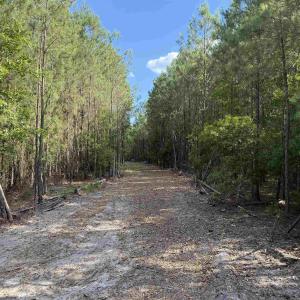 Photo #22 of 8862 Ware Dr., Nichols, SC 23.2 acres