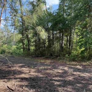 Photo #17 of 8862 Ware Dr., Nichols, SC 23.2 acres