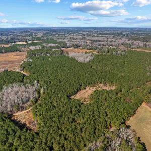 Photo #5 of TBD 183 Acres Blakely Rd., Salters, SC 183.0 acres