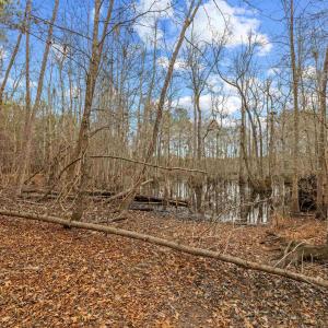 Photo #7 of TBD 183 Acres Blakely Rd., Salters, SC 183.0 acres