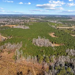 Photo #34 of TBD 183 Acres Blakely Rd., Salters, SC 183.0 acres