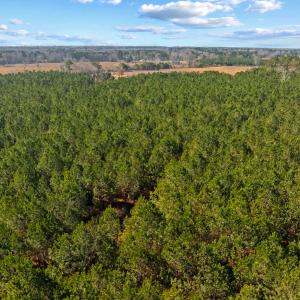 Photo #35 of TBD 183 Acres Blakely Rd., Salters, SC 183.0 acres