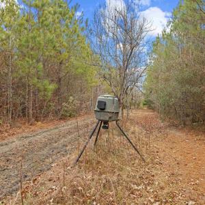 Photo #3 of TBD 183 Acres Blakely Rd., Salters, SC 183.0 acres