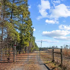 Photo #15 of TBD 183 Acres Blakely Rd., Salters, SC 183.0 acres