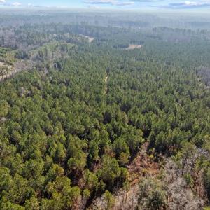 Photo #37 of TBD 183 Acres Blakely Rd., Salters, SC 183.0 acres