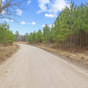 Photo #40 of TBD 183 Acres Blakely Rd., Salters, SC 183.0 acres