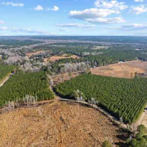 Photo #28 of TBD 183 Acres Blakely Rd., Salters, SC 183.0 acres