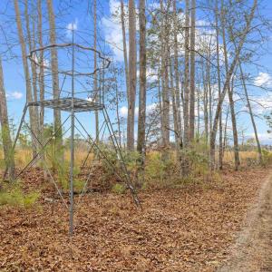 Photo #8 of TBD 183 Acres Blakely Rd., Salters, SC 183.0 acres
