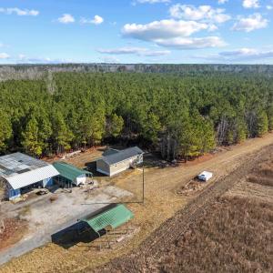 Photo #25 of TBD 183 Acres Blakely Rd., Salters, SC 183.0 acres