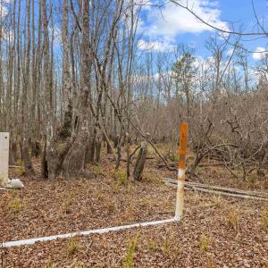 Photo #12 of TBD 183 Acres Blakely Rd., Salters, SC 183.0 acres