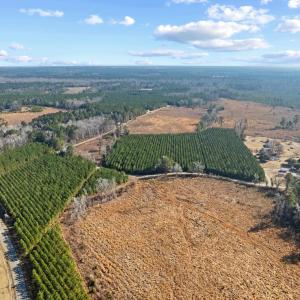 Photo #27 of TBD 183 Acres Blakely Rd., Salters, SC 183.0 acres