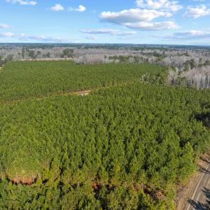 Photo #30 of TBD 183 Acres Blakely Rd., Salters, SC 183.0 acres