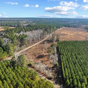 Photo #31 of TBD 183 Acres Blakely Rd., Salters, SC 183.0 acres