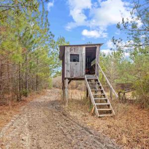 Photo #1 of TBD 183 Acres Blakely Rd., Salters, SC 183.0 acres