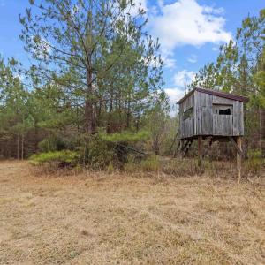 Photo #2 of TBD 183 Acres Blakely Rd., Salters, SC 183.0 acres