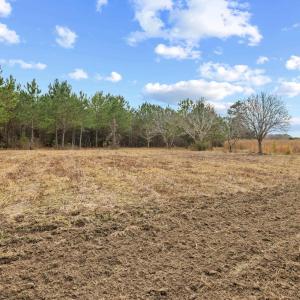 Photo #11 of TBD 183 Acres Blakely Rd., Salters, SC 183.0 acres