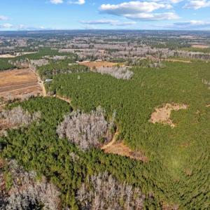 Photo #33 of TBD 183 Acres Blakely Rd., Salters, SC 183.0 acres