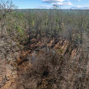 Photo #14 of TBD 183 Acres Blakely Rd., Salters, SC 183.0 acres
