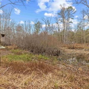 Photo #13 of TBD 183 Acres Blakely Rd., Salters, SC 183.0 acres