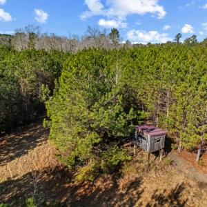 Photo #4 of TBD 183 Acres Blakely Rd., Salters, SC 183.0 acres