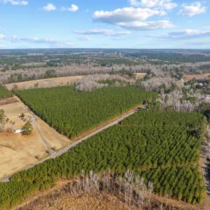 Photo #29 of TBD 183 Acres Blakely Rd., Salters, SC 183.0 acres