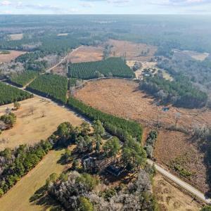 Photo #26 of TBD 183 Acres Blakely Rd., Salters, SC 183.0 acres