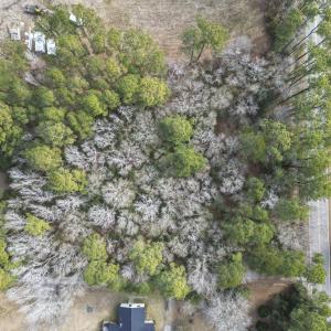 Photo #7 of 2352 Old Sanders Dr., Little River, SC 1.0 acres