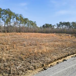 Photo #2 of 6221 Ellwood Rd., Galivants Ferry, SC 2.7 acres