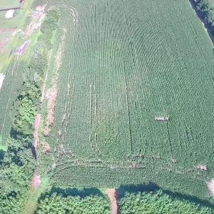 Photo #2 of TBD Plantation Dr., Marion, SC 8.9 acres