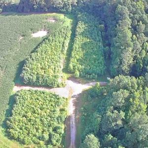 Photo #3 of TBD Plantation Dr., Marion, SC 8.9 acres