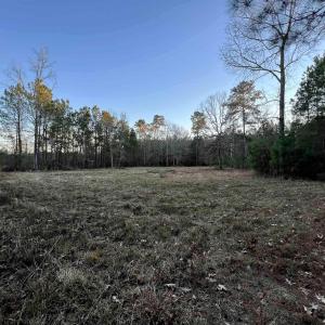 Photo #4 of 9207 County Line Rd., Nesmith, SC 3.7 acres