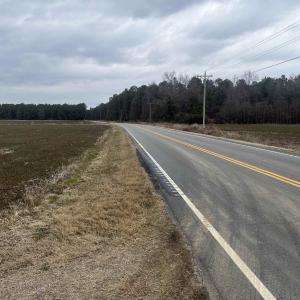 Photo #6 of Centerville Rd., Latta, SC 267.3 acres