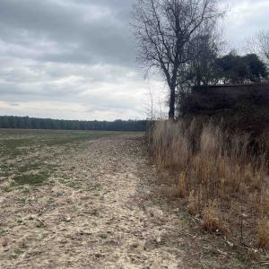 Photo #8 of Centerville Rd., Latta, SC 267.3 acres