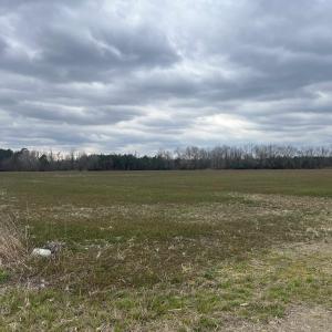 Photo #4 of Centerville Rd., Latta, SC 267.3 acres