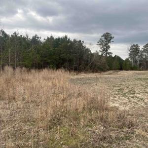 Photo #7 of Centerville Rd., Latta, SC 267.3 acres