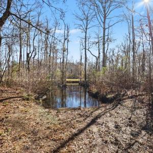 Photo #16 of 156 Jackson View Pl., Myrtle Beach, SC 2.5 acres