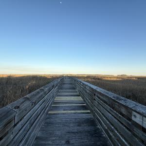 Photo #7 of Lot 68 and 69 Milton Circle, Georgetown, SC 0.6 acres